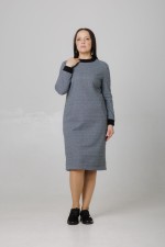 Сукня 60880/1
