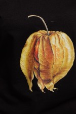 Футболка 8257/1_5